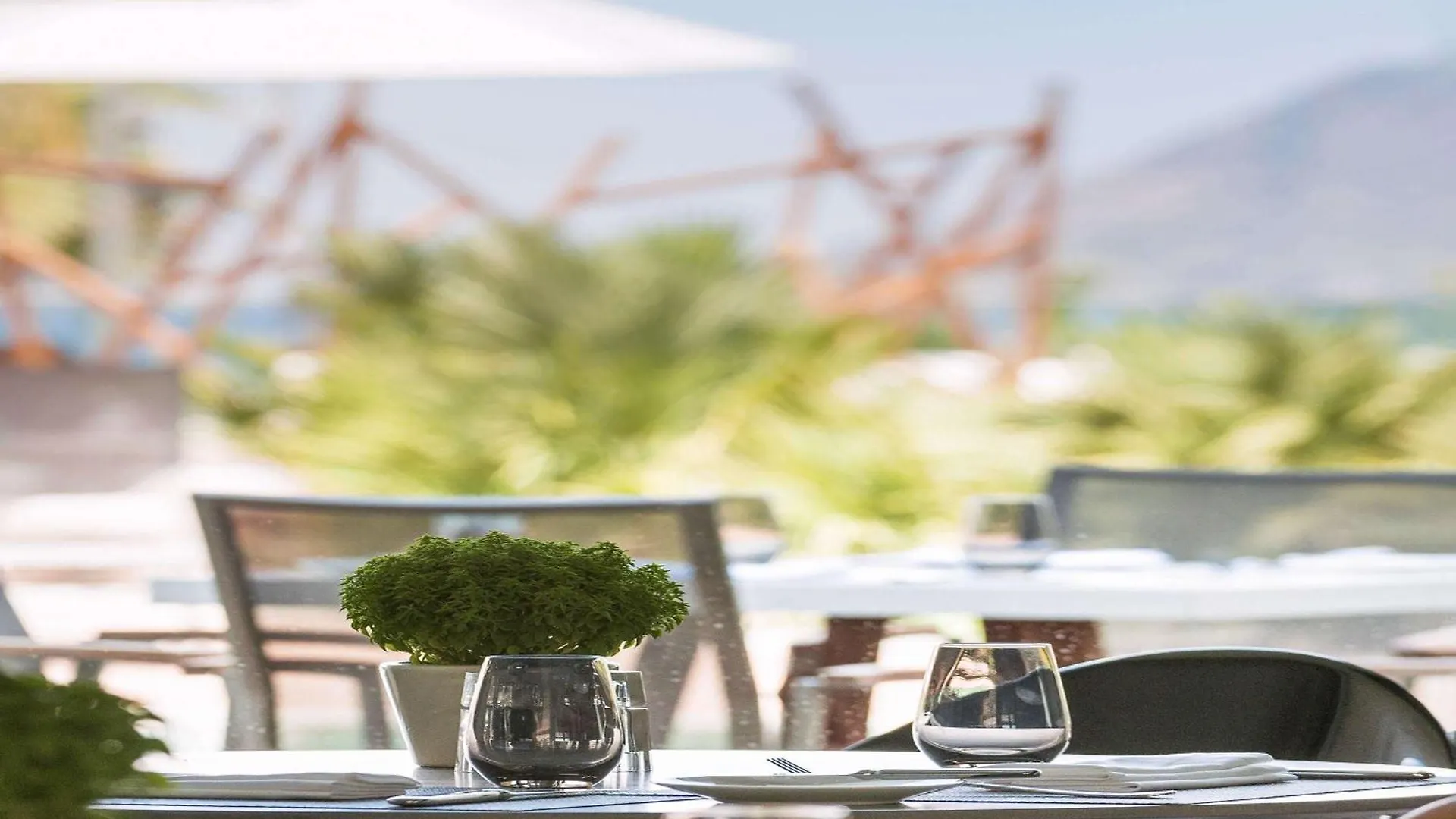 Swissotel Resort Bodrum Beach Turgutreis 5*,